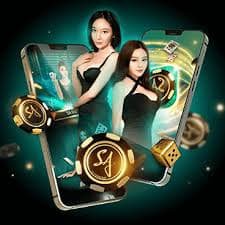 bro444 game